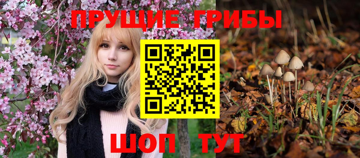 Долгопрудный  Галлюциногенные грибы GOLDEN TEACHER  купить закладку  Вход с VPN 